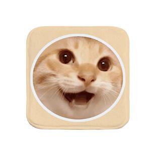 哈基米南北绿豆耄耋哈气猫无权哈气卡通可爱加厚办公室座椅垫加厚