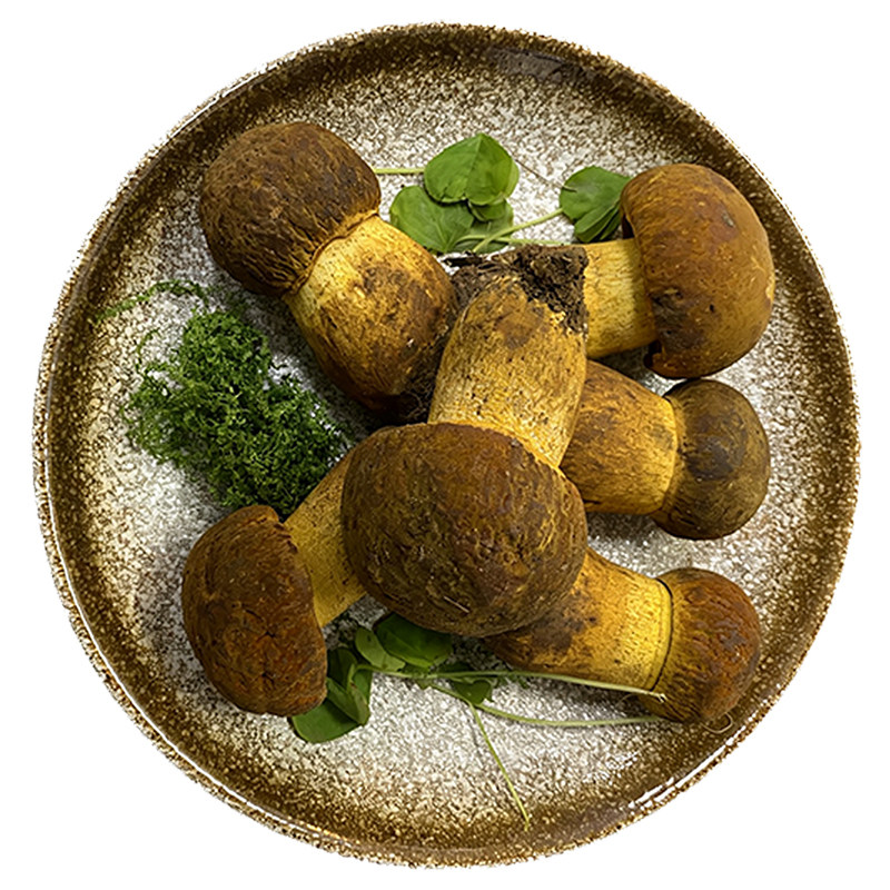 新鲜野生黄牛肝菌冰冻云南见手青