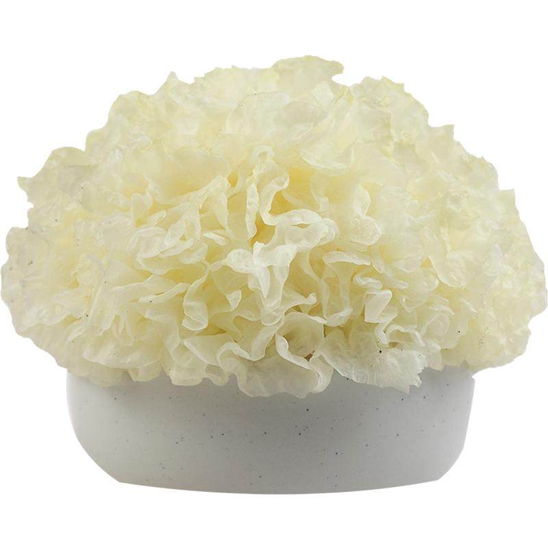 新鲜银耳6朵盒装古田白木耳活鲜糯雪耳丑耳干货 非即食本草莲子羹