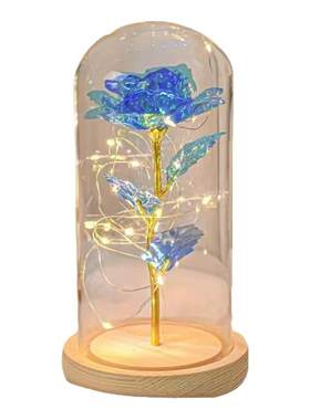 永生玫瑰花小夜灯生日礼物送女生