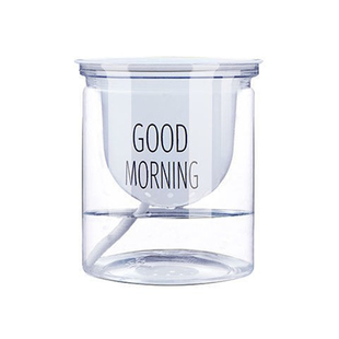 北欧塑料水培透明懒人自动吸水早安盆绿萝北欧简约吊兰绿植多肉花