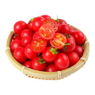 圣女果新鲜小番茄0.5-5斤水果当季蔬菜生吃自然熟孕妇西红柿千禧