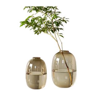 简约落地大肚玻璃花瓶摆件客厅插花落地花器雪柳马醉木透明水养高