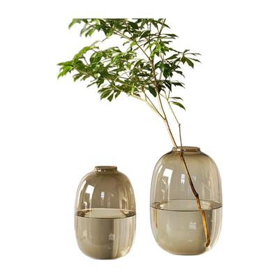 大肚玻璃花瓶透明水养插花雪柳