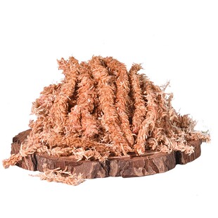 智利进口毛毛虫水苔蝴蝶兰植物兰科专用营养土七星高品质爬宠介质