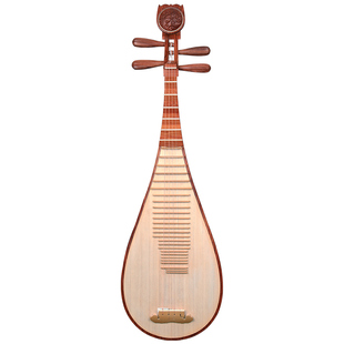 琵琶教学课程在线学习班视频教学课程18节课名师直播面对面琵琶课