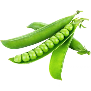 甜脆豌豆种子中碗六号农家四季种植长寿豌豆仁甜豆蔬菜籽 豆荚籽
