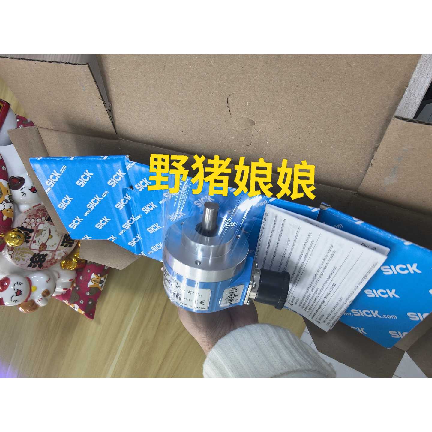 议价ARS60F4A003601031556SICK编码适用