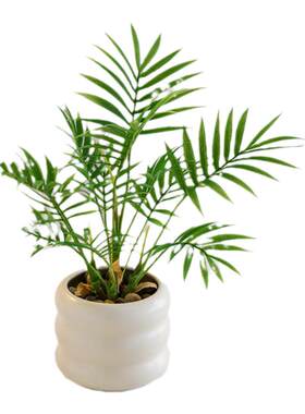 仿真绿植室内盆栽植物装饰摆件