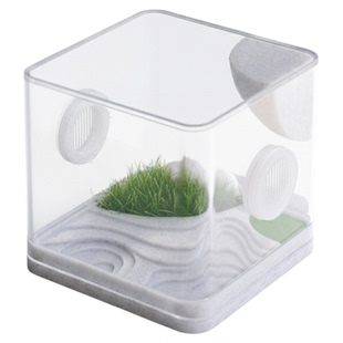 跳蛛饲养盒佛罗里达跳蛛饲养盒蜘蛛饲养盒佛跳饲养盒跳蛛生态盒