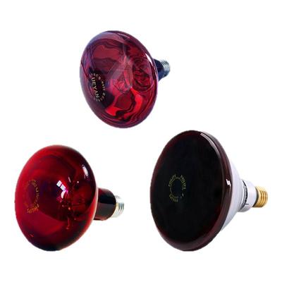 仙鹤牌红外线理疗灯泡配件