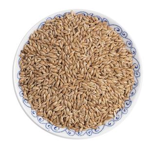 加纳利子鹦鹉鸟食油白尖粟黄谷子鸟粮金丝雀虉草籽谷饲文鸟 5斤