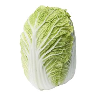 热抗50天大白菜种子耐热夏阳白菜种子包心结球白菜卷心菜夏绿