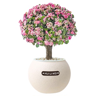 绿植室内小盆栽发财树绿萝高级感客厅水培植物办公桌面工位好养活