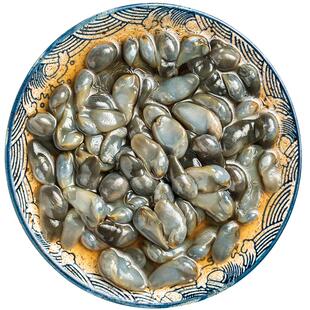 蟹大人醉泥螺鲜活腌制特大号黄泥螺皇宁波舟山特产即食罐装260g