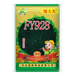 油葵种子矮大头三系杂交矮杆抗倒耐旱耐盐碱大田种植向日葵种子
