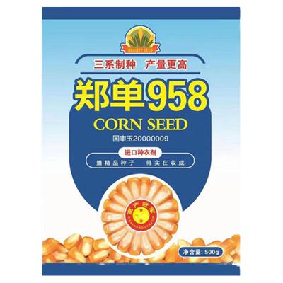 郑单958玉米种子三系制种国审玉