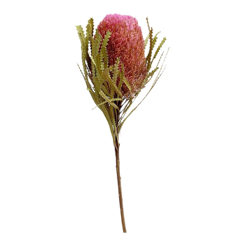 进口班克木干花花束花材民宿装饰插花天然真花客厅永生花佛塔花
