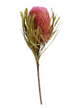 干花班克木天然花束插花永生花