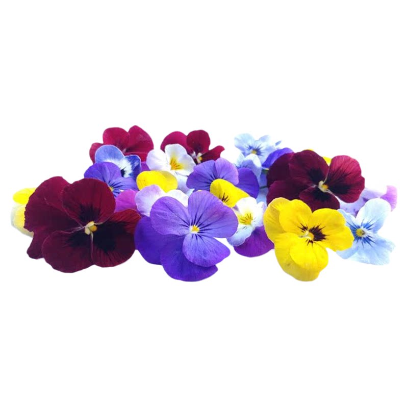 【千牛优福】新鲜三色堇50朵/盒 角堇瑾西餐摆盘装饰点缀花草