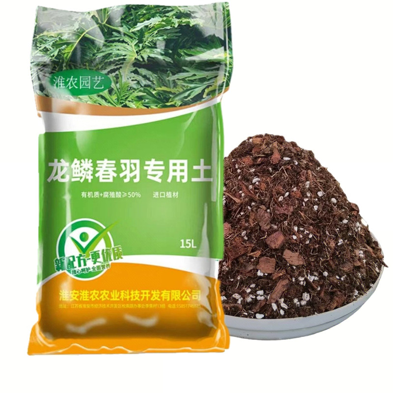 龙鳞春羽专用土无病虫害不烂根