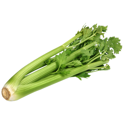 芹菜苗四季小香芹种子西芹菜秧苗春季盆栽蔬菜苗幼苗种籽菜苗孑