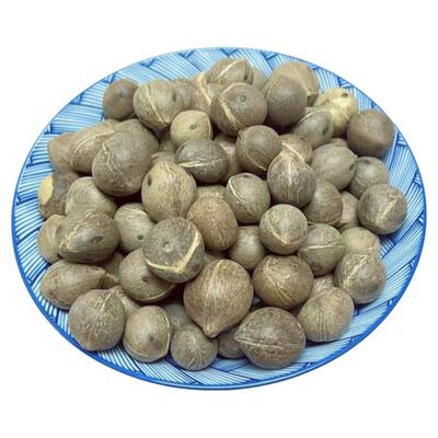 带壳海椰皇迷你小椰子肉 滋补养生带壳小奶椰火锅煲汤甜品 海椰王