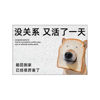 外卖快递请放门口这里地垫毯子定制进入户门玄关丝圈家用宿舍搞笑