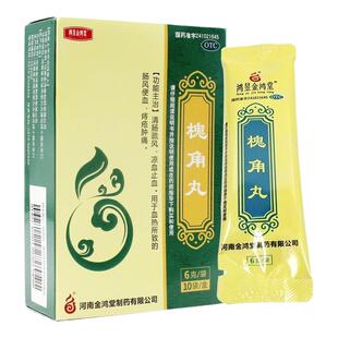 长垣 槐角丸6g*10袋/盒