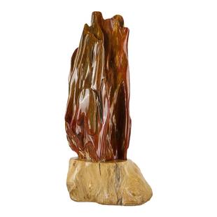 孤品树化玉奇石原石观赏石头木化石硅化木家居桌面摆件奢石收藏品