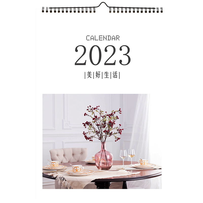 挂历2025年家用ins风2024新款龙年创意挂墙大号挂式画日历本自律打卡365天考研记事本工作计划表墙贴月历定制