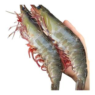 大虾鲜活速冻超大基围虾海虾厄瓜多尔盐冻白虾南美对虾类海鲜