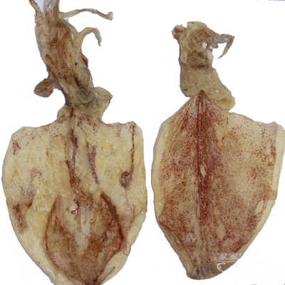 A5北海鱿鱼干货烧烤手撕家用炒菜