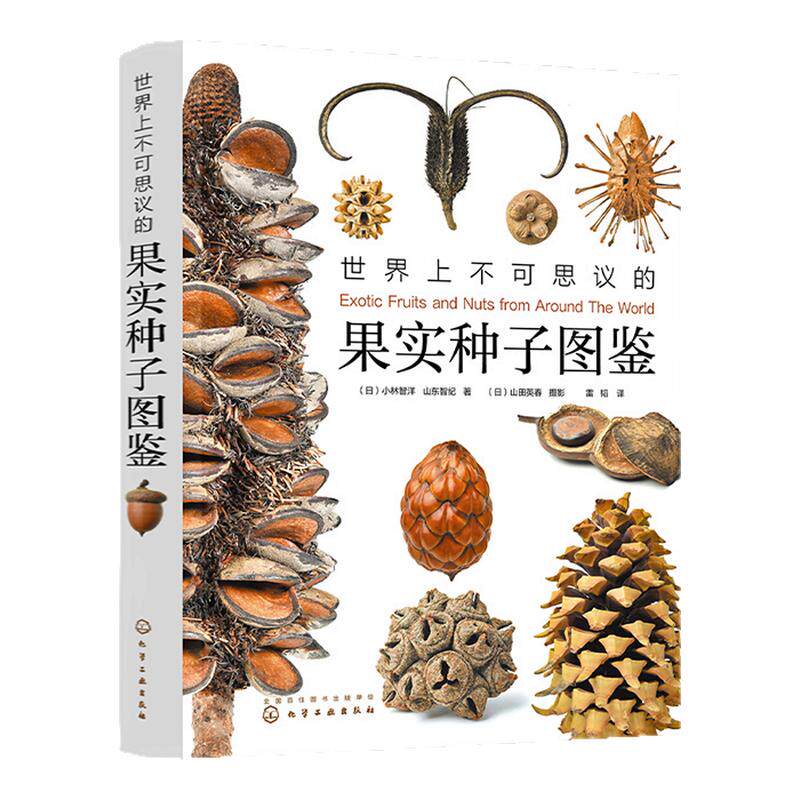 世界上不可思议的果实种子图鉴(赠蒲公英项链) 300张高精果实图片清晰青少年课外阅读自然生态科普知识宝库捡秋实用指南正版书籍