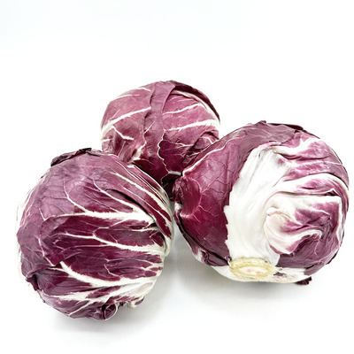 沙拉食材新鲜红菊苣红杂落地球菜