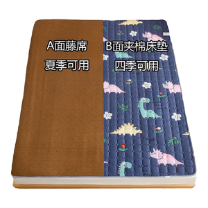 冬夏两用可折叠双面凉席床垫
