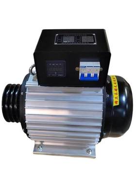 永磁发电机稀土无刷变频220v380v