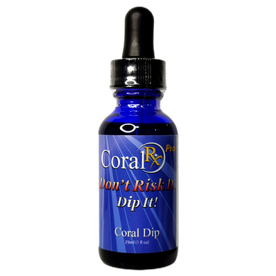 美国coralrx强力浓缩珊瑚寄生虫
