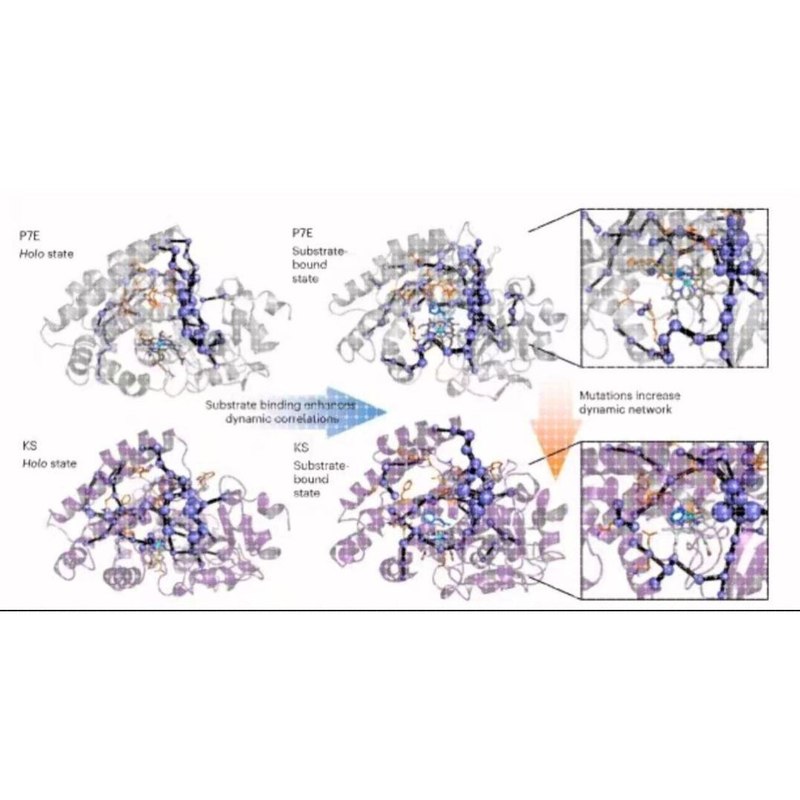 分子对接模拟定制教学gromacs做