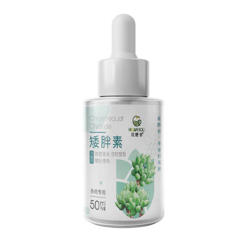 花肥谷矮胖素多肉专用矮胖控型