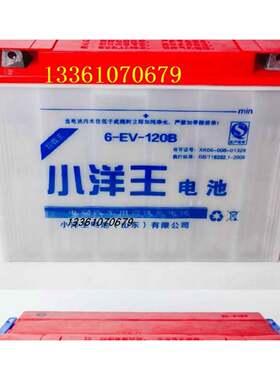 小洋王电池6EV120A48V60V72V电动载客三轮车拉坯车牵引车电瓶