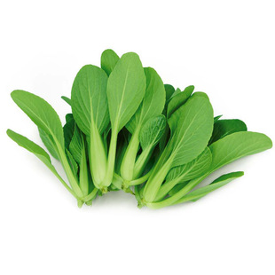 蔬菜种子大全阳台盆栽四季可种的菜香菜青菜生菜葱种菠菜种籽孑子