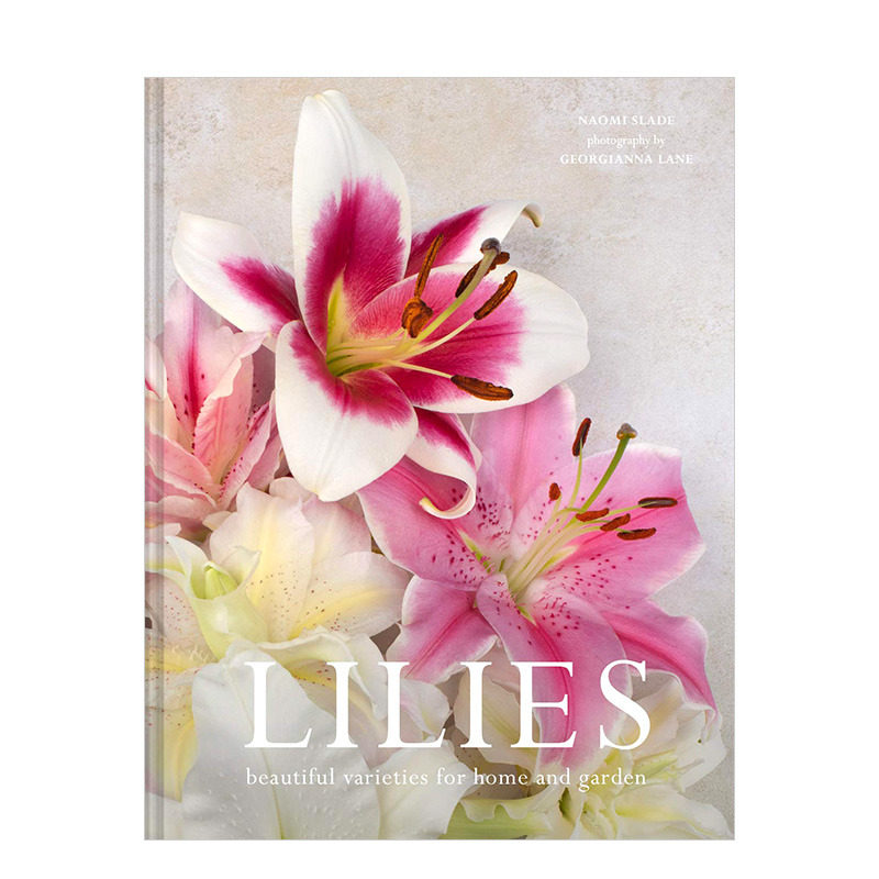 【预售】百合花:适合家庭和花园的美丽品种Lilies 园艺花艺品种介绍百科指南 彩图精装英文原版