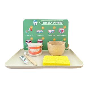 牙齿模型刷牙练习蒙氏教具精细动作生活小班材料幼儿牙齿照顾自己