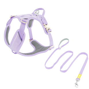 ZOOLAND狗狗胸背牵引绳遛小中大型犬比熊柯基法斗边牧博美绳子