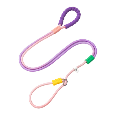 P绳p链防爆冲狗狗牵引绳防挣脱中小型犬大型犬拴狗绳套脖遛狗神器