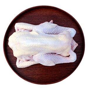【天农旗舰店】原种正宗清远皇后鸡1kg*1只+鲜切鸡块450g*1盒+汤料包*2