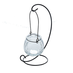 创意铁架水培绿萝玻璃花瓶容器盆办公室内桌面绿植现代摆件装饰品