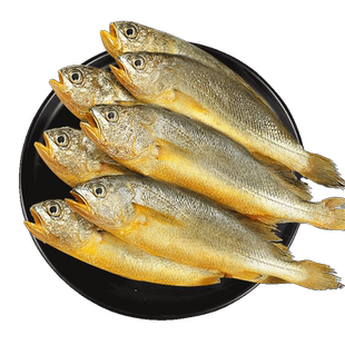 小黄花鱼新鲜冷冻5斤烧烤大黄鱼青岛生鲜活海鱼海鲜整箱商用批发