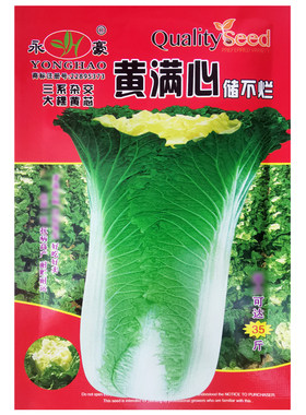 东北大白菜黄心冬储不烂农家
